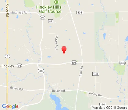 logo-image - hinckley-oh